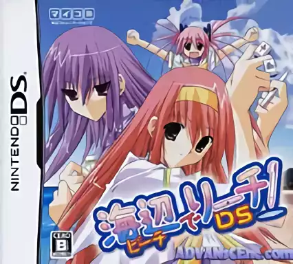Image n° 1 - box : Beach de Reach! DS
